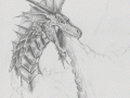 dragon 2.gif